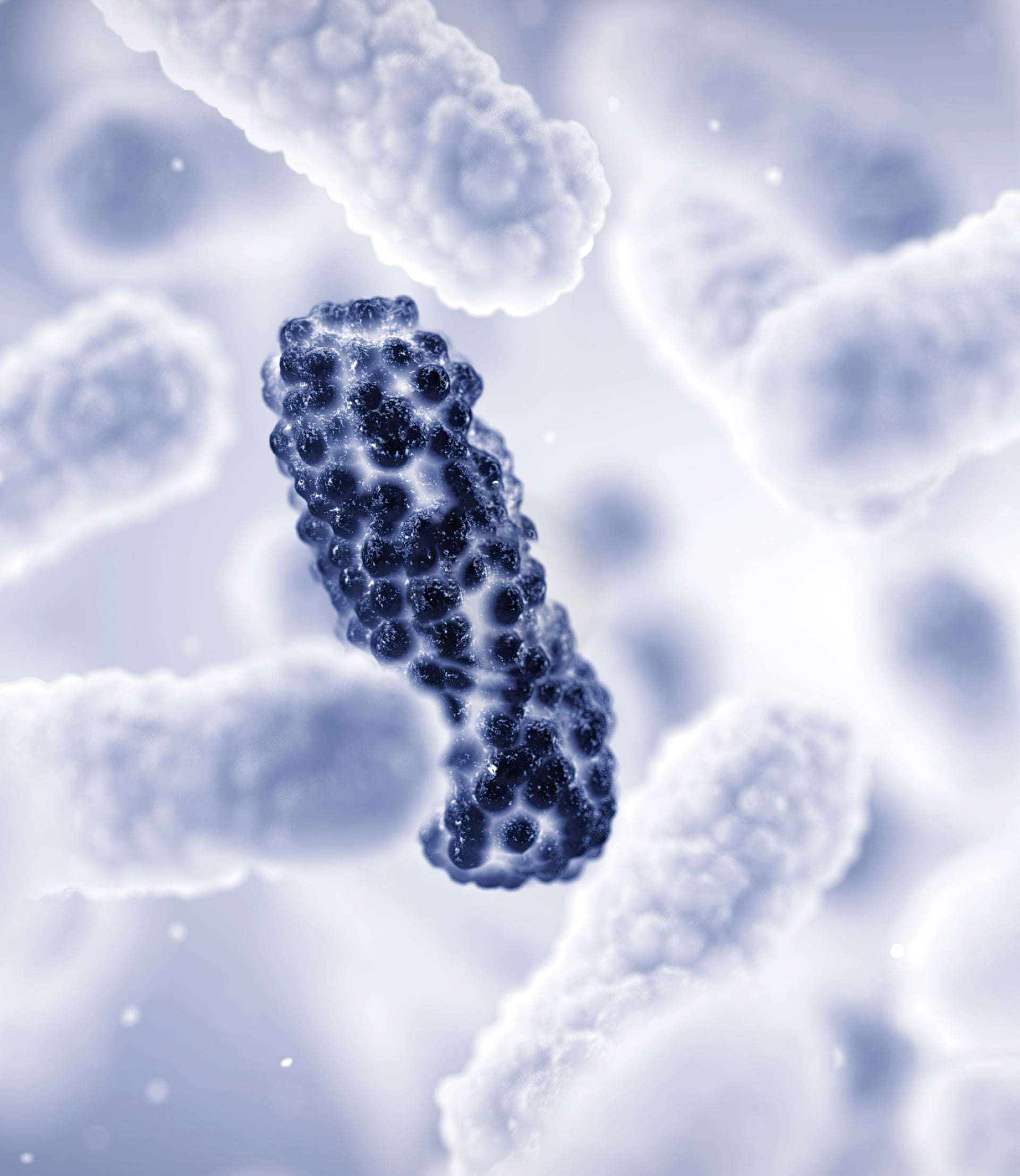 Infectious / Allergy / Dermatology / Therapy